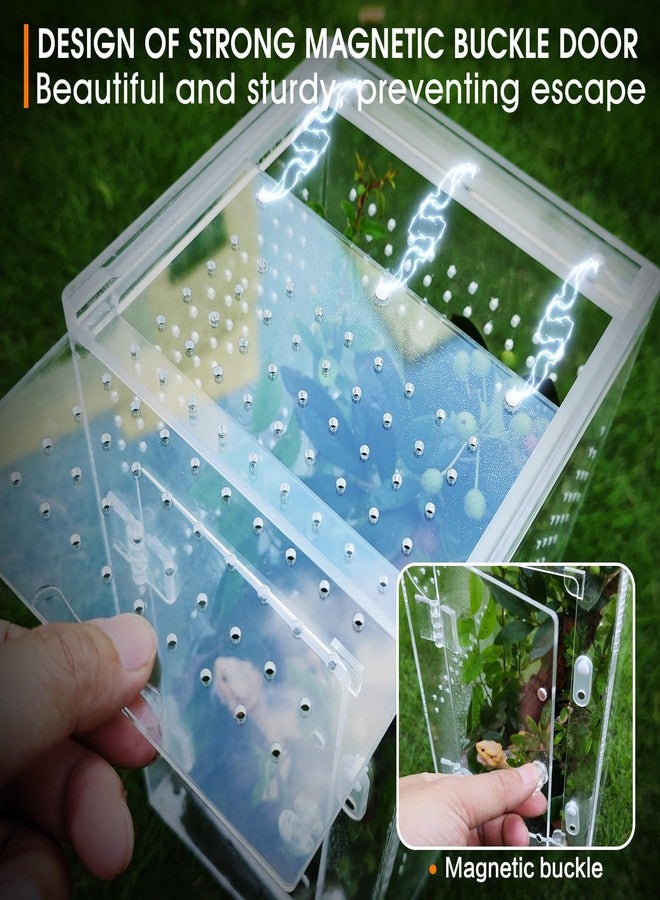 MYGIIKAKA Jumping Spider Enclosure Accessories, Tarantula Spider Box, Bug Cage, Praying Mantis Habitat Enclosure, Snail Insect Terrarium, Caterpillar Habitat (6x6x12 inch) - Image 5